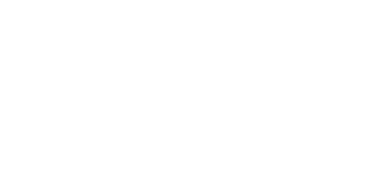 Foooter Logo